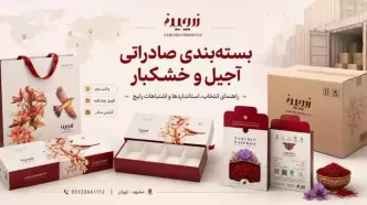بسته‌بندی صادراتی آجیل و خشکبار؛ از وکیوم تا کارتن مادر