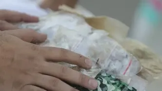 هشدار به خانواده‌ها درباره موادمخدر جدید/ باور «گل اعتیادآور نیست» را کنار بگذارید