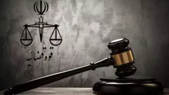 حکم نهایی ساعدی‌نیا؛‌ مصادره تمام اموال منقول و غیرمنقول
