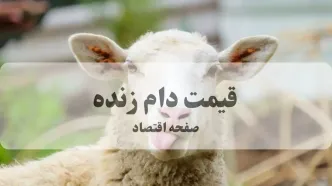 جدول قیمت دام زنده امروز پنجشنبه ۲ مهر اعلام شد