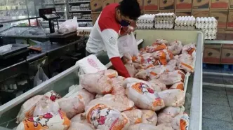 کف قیمت مرغ زنده ۲۰۰ هزار تومان شد؛ درخواست جدید مرغداران