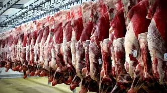 حذف کامل عرضه گوشت‌های وارداتی در میادین تره بار
