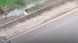 رونمایی از اسکیت‌بورد پرنده در چین