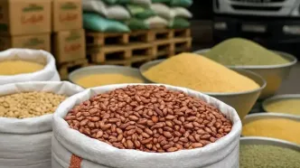 قیمت حبوبات امروز 27 شهریور ۱۴۰۵ / لوبیا چیتی کیلویی چند؟