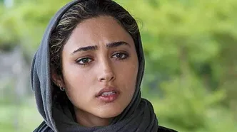 فریبرز عرب‌نیا و گلشفته فراهانی به ایران برمی‌گردند؟