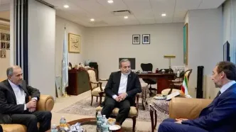 دیدار گروه ریش سفیدان بین المللی با عراقچی