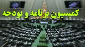 بررسی عملکرد پنج‌ماهه بودجه ۱۴۰۵ در کمیسیون برنامه و بودجه