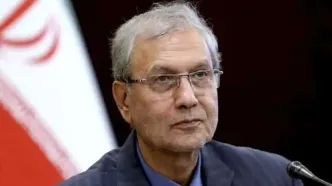 ربیعی: منظور از «تاب آوری» فقط معیشت نیست