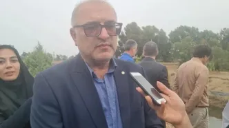 رقابت میگوی پرورشی ایران با محصولات جهانی از نظر قیمت و کیفیت