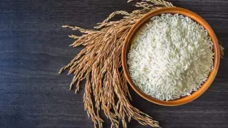 استاندار گیلان: قیمت برنج واقعی شد