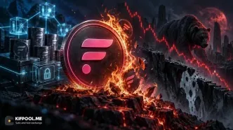 افزایش ۱۰ برابری توکن‌سوزی فلر؛ آیا FLR از روند نزولی خارج می‌شود؟