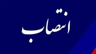 حسن محمدی به هیئت‌مدیره هلدینگ فنحاب منصوب شد