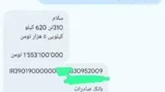 تناقض در تخصیص سهمیه واردات؛ واردکننده به دریافت وجه در ثبت سفارش معترض است