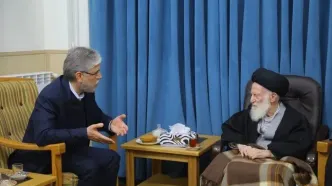 پیام تسلیت وزیر علوم در پیِ درگذشت آیت‌الله شبیری زنجانی