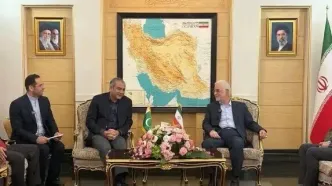 رایزنی وزیر کشور پاکستان در ایران درباره تلاش‌ها در زمینه پیشبرد فرآیند