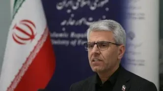 بقائی: تعامل صورت گرفته با طرف آمریکایی از طریق میانجی قطری بود