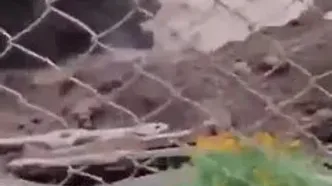 لحظه فروافتادن ساختمان دولتی به رودخانه در سیل نپال