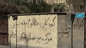 همایون اسعدیان: نوجوانی که روی خانه رضا کیانیان دیوارنویسی کرده را شناسایی کردیم/ ویدئو