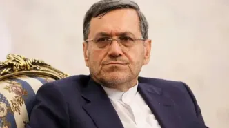 واکنش سخنگوی کمیسیون امنیت ملی به جنایت آمریکا در حمله به جشن عروسی در سیریک