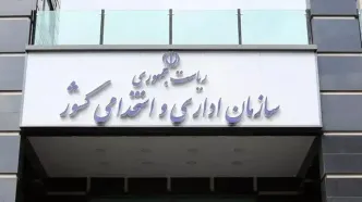 طرح سه‌شنبه‌های بدون خودرو در سازمان اداری و استخدامی کشور کلید خورد