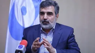 ممانعت آمریکا از حضور ایران در نشست آژانس، مخرب و کودکانه است