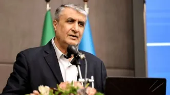 واکنش رئیس سازمان انرژی اتمی به خیال‌بافی ترامپ