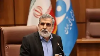 ایران گزینه‌های زیادی برای دفاع از خود دارد