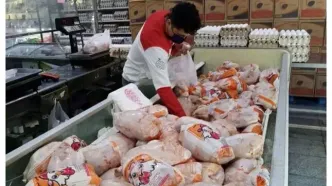 آخرین خبر از عقب‌نشینی قیمت مرغ