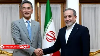 دیدار خداحافظی سفیر ژاپن در ایران با وزیر امور خارجه