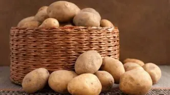 خبر مهم درباره بازار سیب‌زمینی