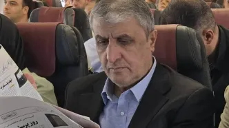 بلومبرگ: آمریکا مانع شرکت محمد اسلامی در نشست آژانس بین‌المللی انرژی اتمی شد