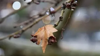 اولین باران پاییزی مهمان این استان شد