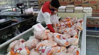 قیمت گوشت مرغ امروز ۲۶ شهریور ۱۴۰۵؛ هر کیلو مرغ کامل ۲۸۰ هزار تومان