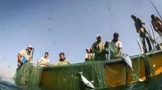 بازگشت ۱۰ صیاد مفقودشده اهل بندرلنگه‌