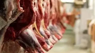 قیمت گوشت قرمز امروز دوشنبه ۶ مهر ۱۴۰۵/ گوشت گوسفندی و گوساله چند؟ + جدول