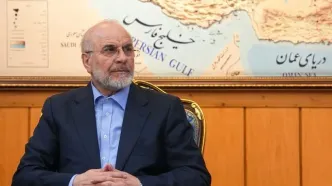 رئیس مجلس: آمریکا برخلاف ظاهرش آسیب‌پذیر و در معرض خطر است