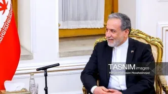 دیدار سفرای ایران در گرجستان و کره‌جنوبی با عراقچی