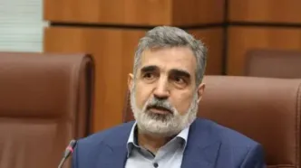 کمالوندی: اگر تحت تهاجم قرار گرفته باشید، تمام کارت‌ها را برای دفاع از خود در اختیار دارید