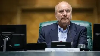 من مدافع طرح نفوذ هستم اما نمی‌شود کشور را قفل کنیم و بگوییم همه از ما اجازه بگیرند