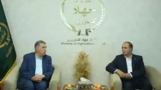 حضور بخش خصوصی، موتور محرک بهره‌وری و نوآوری در اقتصاد کشور