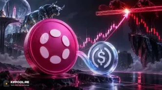 جهش ۱۱ درصدی پولکادات؛ dotUSD به محرک تازه DOT تبدیل شد