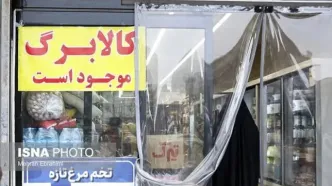 تخصیص کالابرگ جدید از ۱۵ مهر؛ جزئیات این هفته اعلام می‌شود