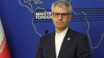 بقائی: عاصم منیر نه حامل پیام مثبت بود و نه منفی/ ایران دیکته آمریکایی را نمی‌پذیرد