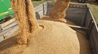 بروزرسانی قیمت نهاده های دامی امروز پنجشنبه ۱۹ شهریور + جدول