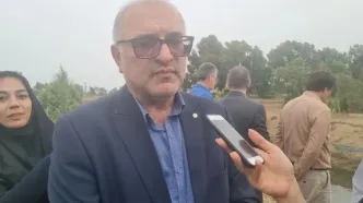 رقابت میگوی پرورشی مازندران با محصولات جهانی در کیفیت و قیمت