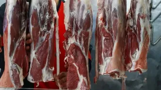 هیچ مجوزی برای کشتار و عرضه گوشت اسب، قاطر و الاغ صادر نشده است
