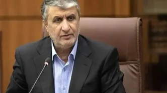 رئیس سازمان انرژی اتمی ایران عازم وین شد