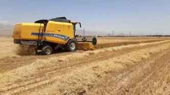 واریز جدید مطالبات گندم‌کاران به ۳۴۸.۴ همت رسید