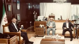 تأکید بر توسعه همکاری‌های ستاد مبارزه با قاچاق کالا و ارز و دبیرخانه شورای‌عالی مناطق آزاد