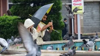 تصاویر؛ رشت زیر باران تابستانی
